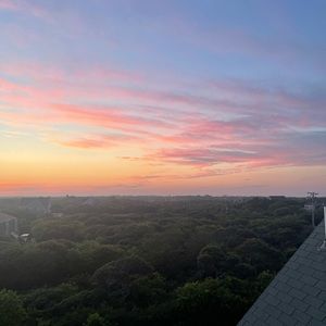 Meet your Posher, Ella